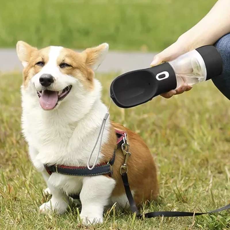 Бутилка/поилка с купичка за куче и котка 3 в 1 - вода, храна и купичка - Image 4