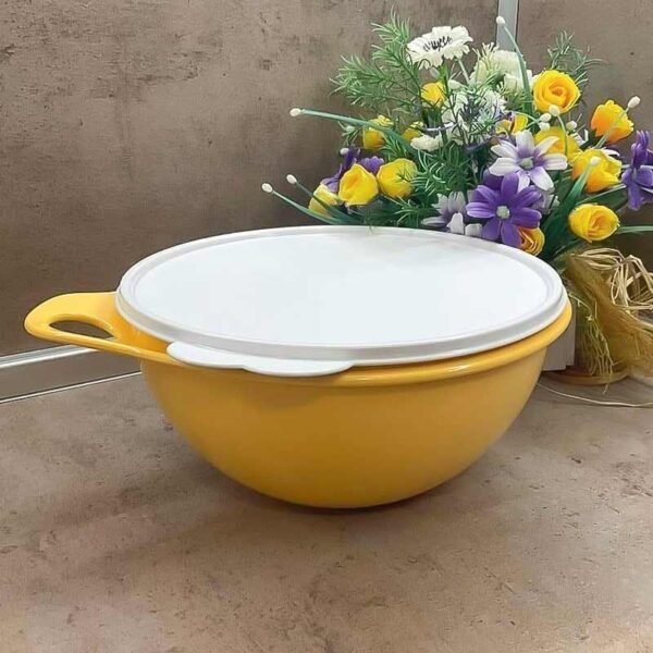 Голяма купа Юниор 3 л. Tupperware