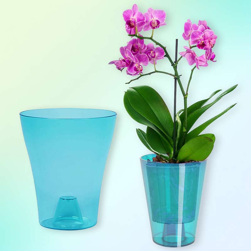 Саксия за орхидея STERK – Прозрачна синя саксия за цветя